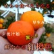 �ھ����ֹ棷������ͼ�Ƥ�ɱ���쥮��顼Ȣ�����������硡��ͥ���硡�󣵣����