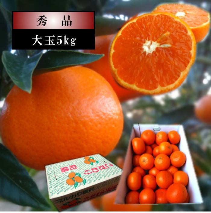 �ھ����ֹ棳������̪Ƿ˾���쥮��顼Ȣ����̥����������ʡ��󣵣����