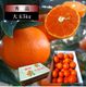 �ھ����ֹ棳������̪Ƿ˾���쥮��顼Ȣ����̥����������ʡ��󣵣����