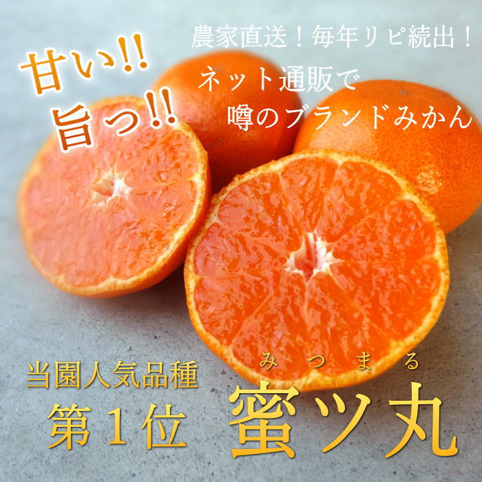 �ھ����ֹ棱������̪�Ĵݡ���Υ��ե�Ȣ���ͥ������������ץ�ߥ��ࡡ��������