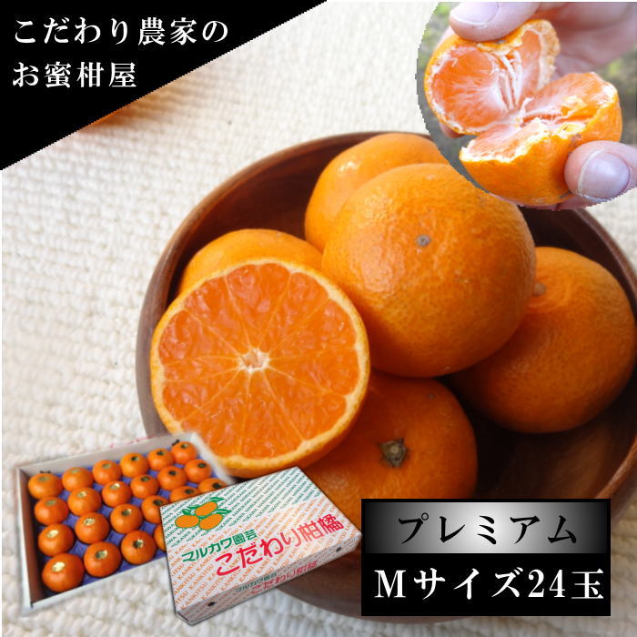 �ھ����ֹ棵�������д�������β���Ȣ���ͥ������������ץ�ߥ��ࡡ������