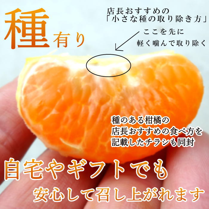 �ھ����ֹ棳������̪Ƿ˾�����������硡�������ʡ��󣱡����������