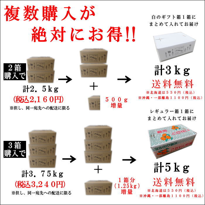 �ھ����ֹ棳������̪Ƿ˾�����������硡�������ʡ��󣱡����������