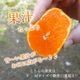 �ھ����ֹ棵�������д�������β���Ȣ���̥������������ץ�ߥ��ࡡ������