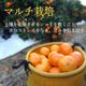 �ھ����ֹ棵�������д�������β���Ȣ���̥������������ץ�ߥ��ࡡ������