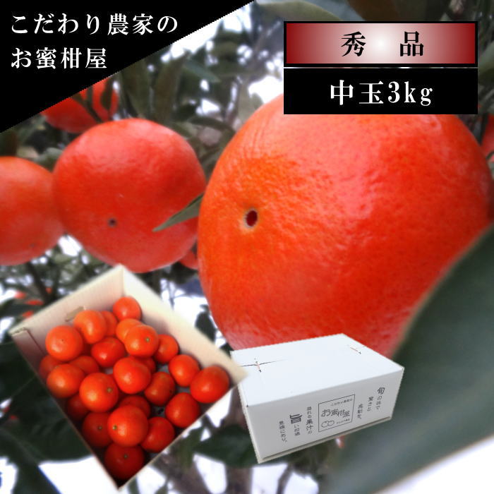 �ھ����ֹ棲�����۹ȥ����䡡��Υ��ե�Ȣ����̥����������ʡ��󣳣����