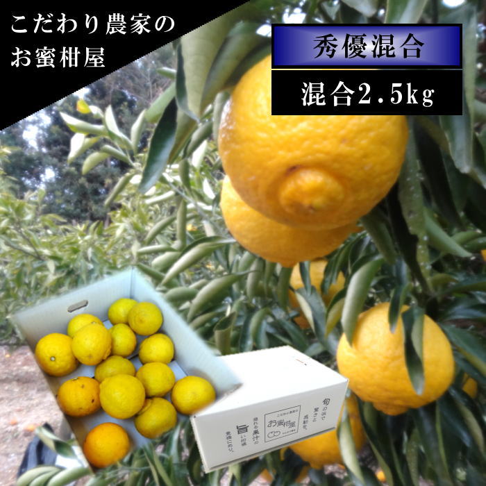 ھֹ棳ۤϤᡡΥեȢ硡ͥʡ󣲡