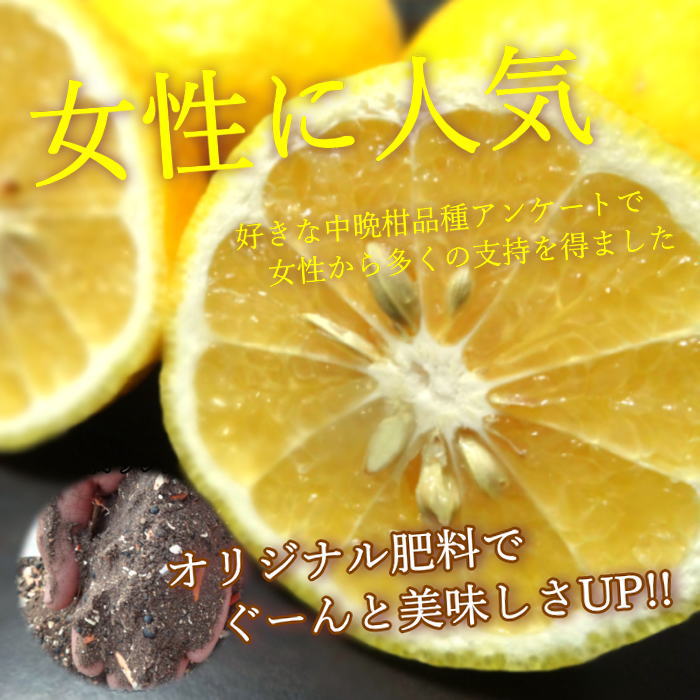 ھֹ棳ۤϤᡡΥեȢ硡ͥʡ󣲡