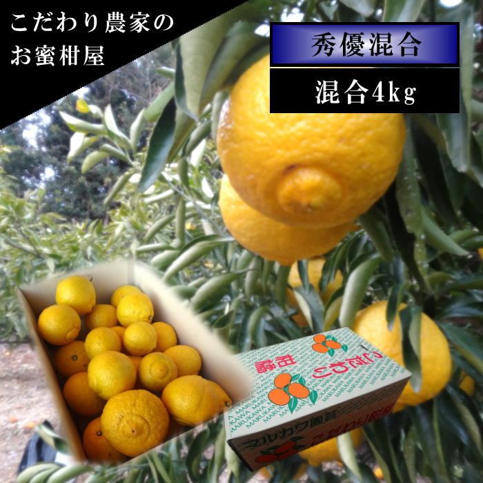 �ھ����ֹ棳�����ۤϤ�ᡡ�쥮��顼Ȣ�����������硡��ͥ�����ʡ��󣴣����