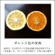 ھֹ棳۽޴βȢˡޤץߥࡡ󣲡