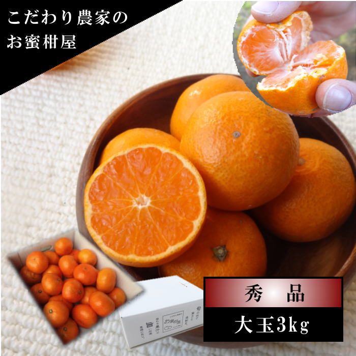 �ھ����ֹ棵�������д�������Υ��ե�Ȣ����̥����������ʡ������