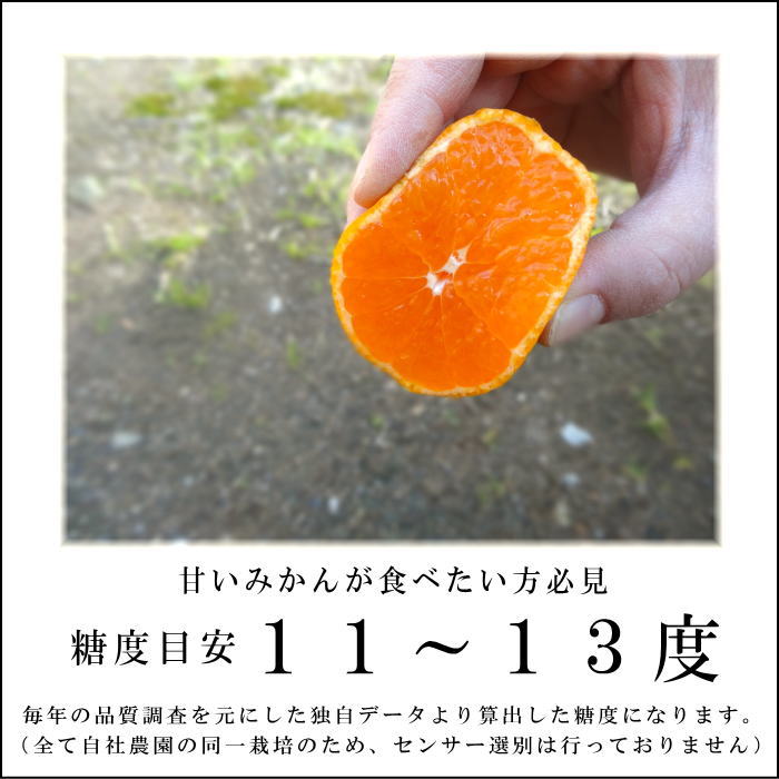 �ھ����ֹ棵�������д�������Υ��ե�Ȣ����̥����������ʡ������