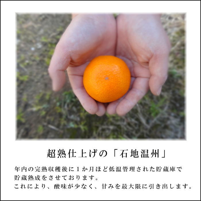 �ھ����ֹ棵�������д�������Υ��ե�Ȣ����̥����������ʡ������