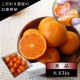 �ھ����ֹ棵�������д�������Υ��ե�Ȣ����̥����������ʡ������