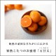 �ھ����ֹ棵�������д�������Υ��ե�Ȣ����̥����������ʡ������