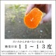 �ھ����ֹ棵�������д�������Υ��ե�Ȣ����̥����������ʡ������