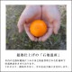 �ھ����ֹ棵�������д�������Υ��ե�Ȣ����̥����������ʡ������