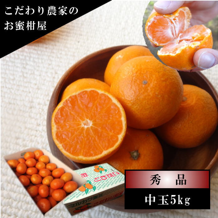 �ھ����ֹ棵�������д������쥮��顼Ȣ����̥����������ʡ������