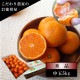 �ھ����ֹ棵�������д������쥮��顼Ȣ����̥����������ʡ������