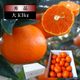 �ھ����ֹ棳������̪Ƿ˾����Υ��ե�Ȣ����̥����������ʡ��󣳣����
