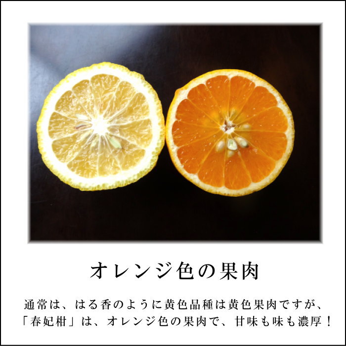 ھֹ棳۽޴ΥեȢ̥ʡ󣳣