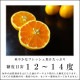ھֹ棳۽޴ΥեȢ̥ʡ󣳣