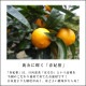 ھֹ棳۽޴ΥեȢ̥ʡ󣳣