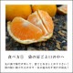 ھֹ棳۽޴ΥեȢ̥ʡ󣳣