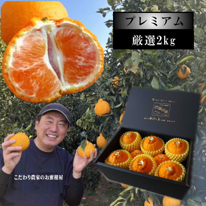 �ھ����ֹ棴�����۴Žϥǥ������β���Ȣ����ˡ����������ޤ����������ץ�ߥ��ࡡ�󣲣����