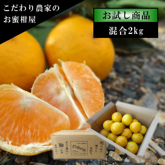 �ھ����ֹ棳�����۽��޴�����Ȣ�����������硡����ʡ��󣲣����