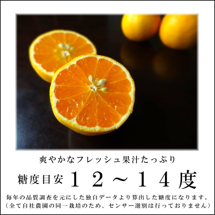 �ھ����ֹ棳�����۽��޴�����Ȣ�����������硡����ʡ��󣲣����