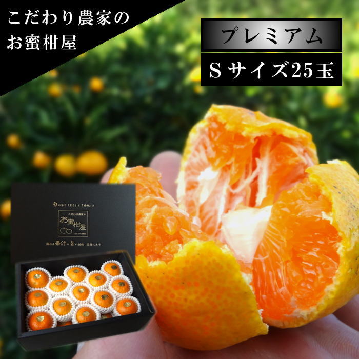 �ھ����ֹ棲�����ۤ���󡡹��β���Ȣ����ˡ��ӥ������������ץ�ߥ��ࡡ��������