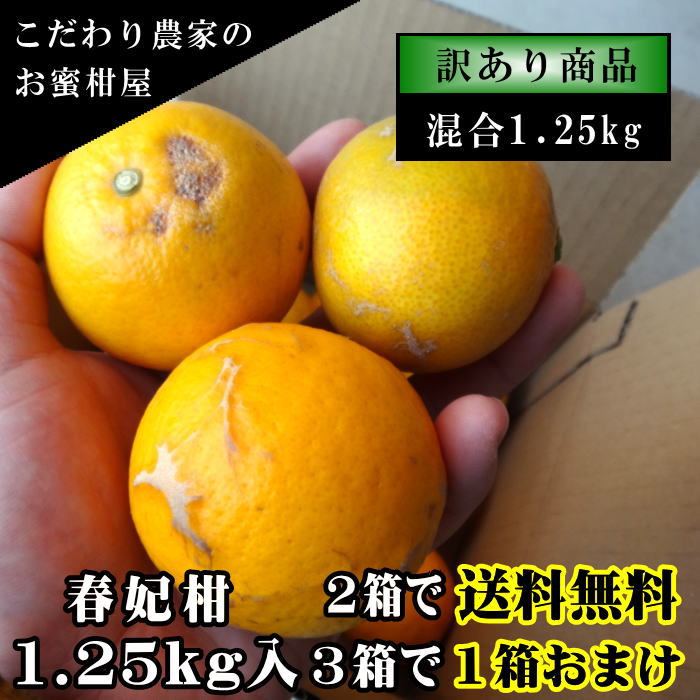 �ھ����ֹ棳�����۽��޴������������硡�������ʡ��󣱡����������