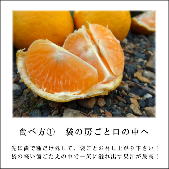 �ھ����ֹ棳�����۽��޴������������硡�������ʡ��󣱡����������