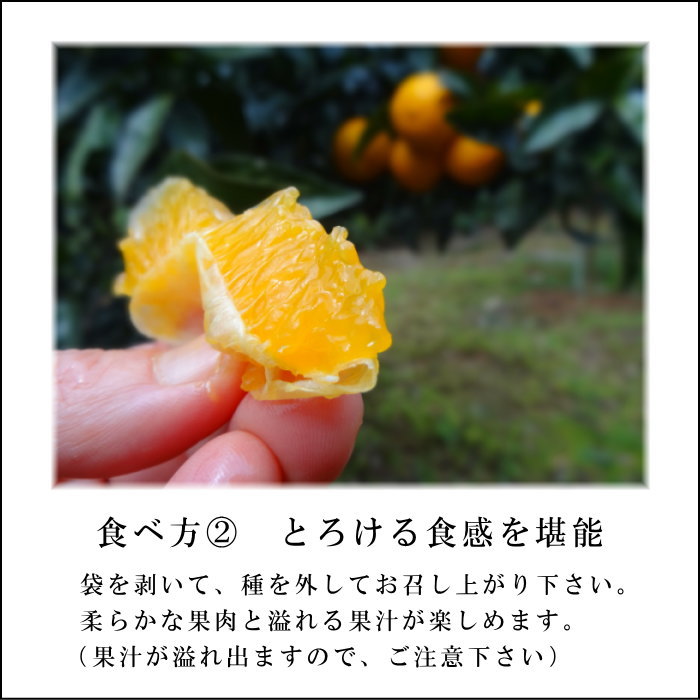 �ھ����ֹ棳�����۽��޴������������硡�������ʡ��󣱡����������