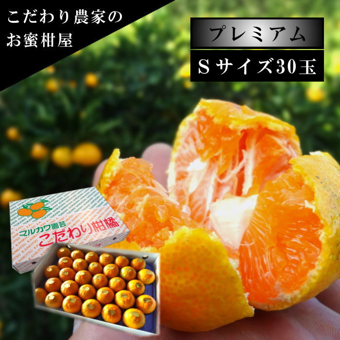 �ھ����ֹ棲�����ۤ������β���Ȣ���ӥ������������ץ�ߥ��ࡡ��������