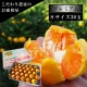�ھ����ֹ棲�����ۤ������β���Ȣ���ӥ������������ץ�ߥ��ࡡ��������