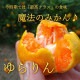 �ھ����ֹ棲�����ۤ������β���Ȣ���ӥ������������ץ�ߥ��ࡡ��������