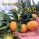 �ھ����ֹ棲�����ۤ������β���Ȣ���ӥ������������ץ�ߥ��ࡡ��������
