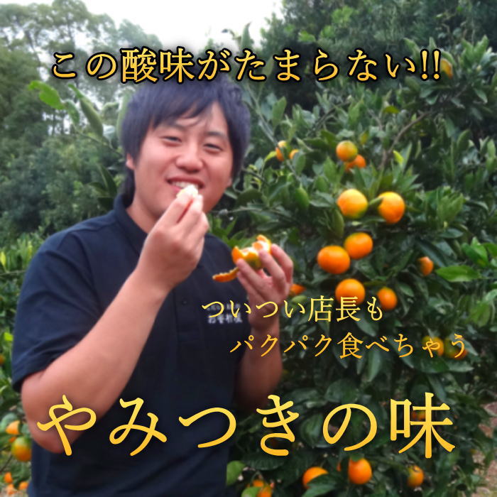 ھֹ棲ۤΥեȢӥץߥࡡ