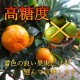 ھֹ棲ۤΥեȢӥץߥࡡ
