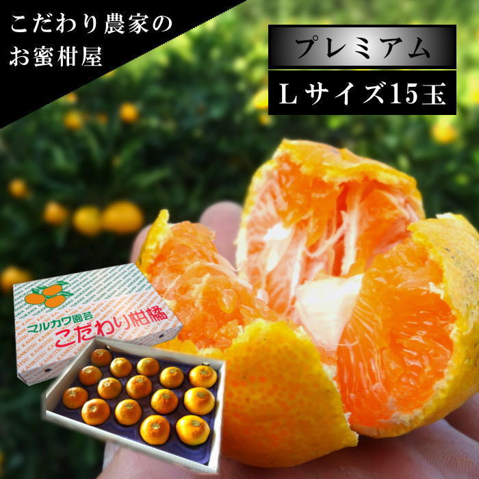 ھֹ棲ۤβȢ̥ץߥࡡ