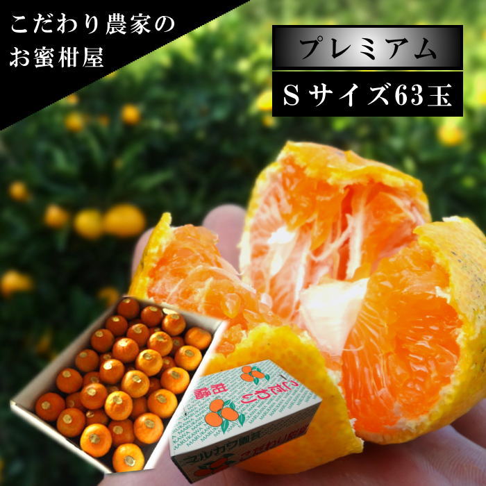 �ھ����ֹ棲�����ۤ���󡡥쥮��顼Ȣ���ӥ������������ץ�ߥ��ࡡ��������