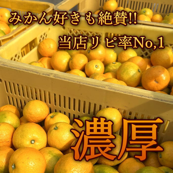 �ھ����ֹ棲�����ۤ���󡡥쥮��顼Ȣ���ӥ������������ץ�ߥ��ࡡ��������