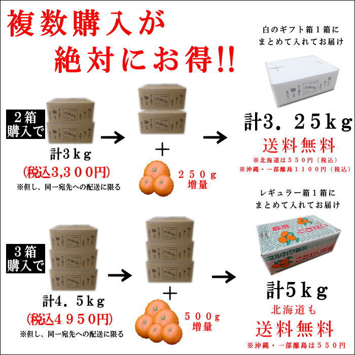 �ھ����ֹ棱������̪�Ĵݡ����������硡����ʡ��󣱡��������