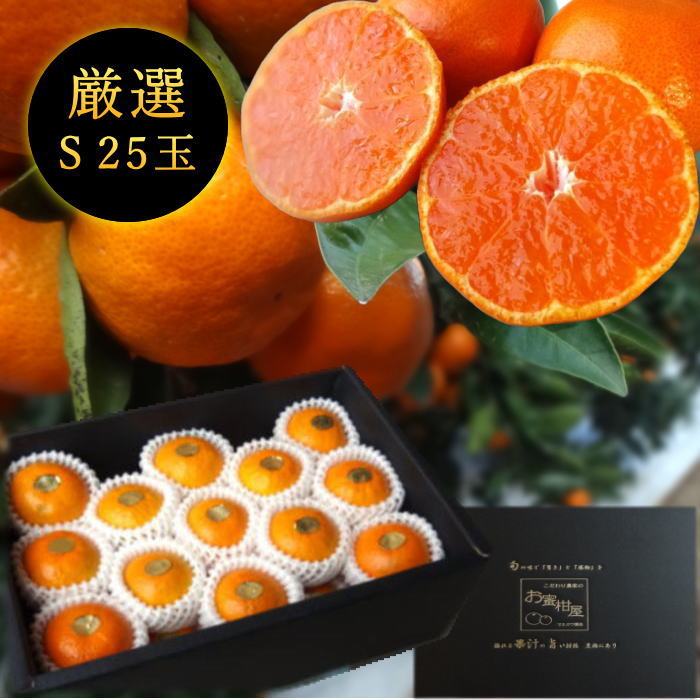�ھ����ֹ棱������̪�Ĵݡ����β���Ȣ����ˡ��ӥ������������ץ�ߥ��ࡡ��������