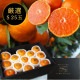 �ھ����ֹ棱������̪�Ĵݡ����β���Ȣ����ˡ��ӥ������������ץ�ߥ��ࡡ��������