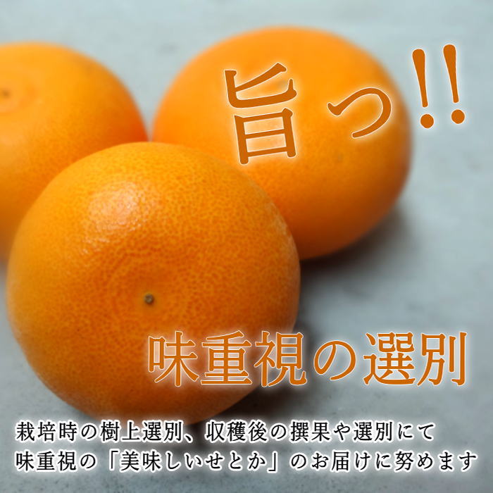 �ھ����ֹ棴�������ڽϤ��Ȥ������β���Ȣ����ˡ����������ޤ����������ץ�ߥ��ࡡ�󣲡��������