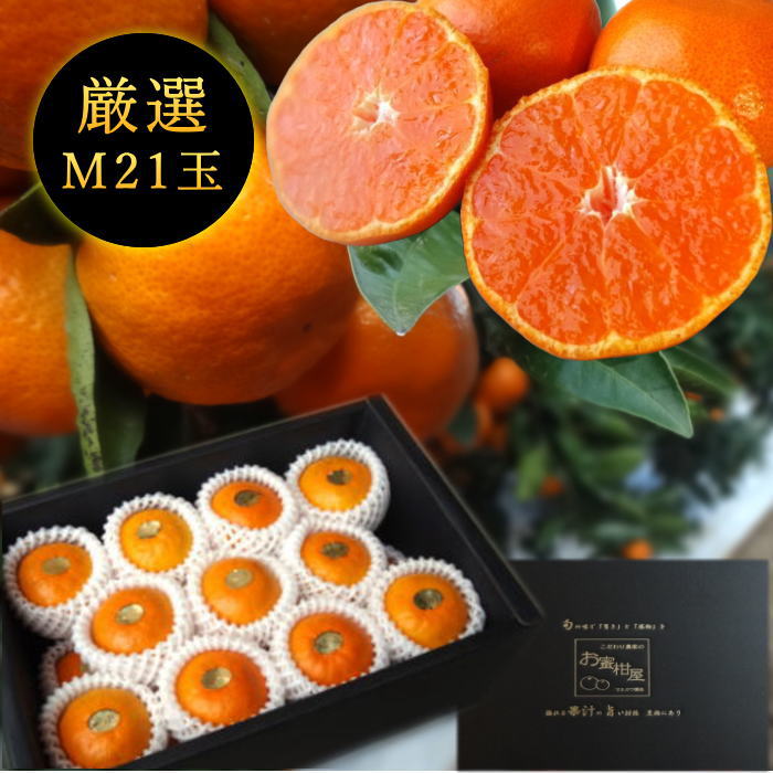�ھ����ֹ棱������̪�Ĵݡ����β���Ȣ����ˡ��ͥ������������ץ�ߥ��ࡡ��������