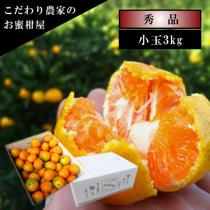 ھֹ棲ۤΥեȢ̥ʡ󣳣